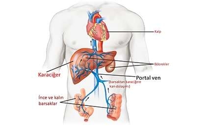 Portal Hipertansiyon